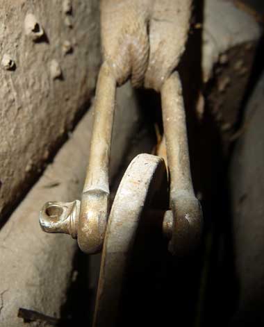 Shackle on centreboard strap